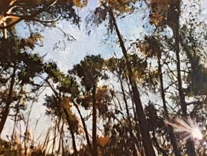 14 20 11 DrunenseDuinenochtend4 30x40cm RobJacobs