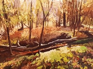 18 20 10 DrunenseDuinenochtend1 30x40cm RobJacobs