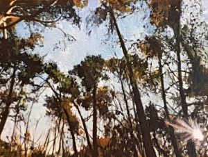 Rob Jacobs vangt de magie van de ochtend in de Drunense Duinen op een doek van 30x40cm.